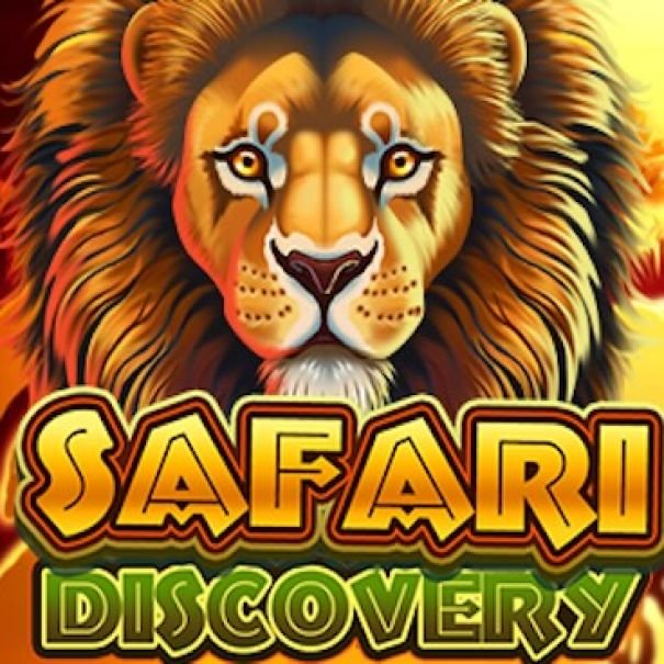 Safari Discovery