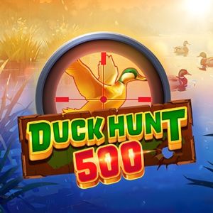 Duck Hunt 500