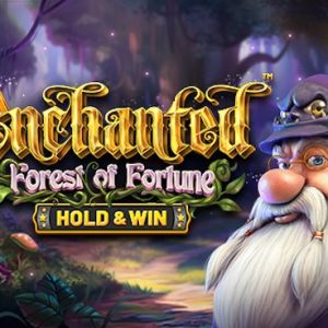 Enchanted: Forest of Fortune - Hold and Win