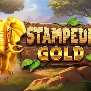 Stampede Gold