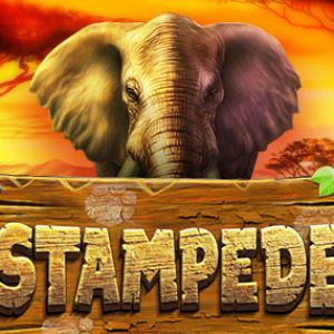 Stampede
