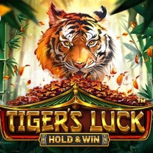Tiger's Luck - Hold and Win