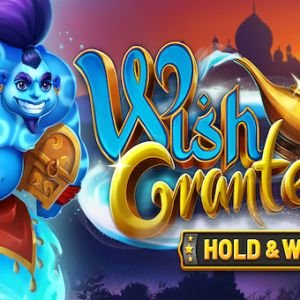 Wish Granted