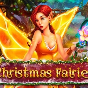 Christmas Fairies