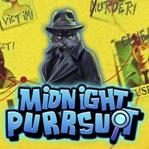 Midnight Purrsuit