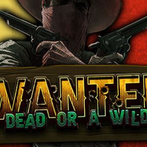 Wanted Dead or a Wild