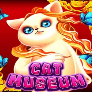 Cat Museum