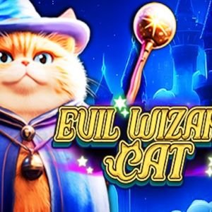 Evil Wizard Cat