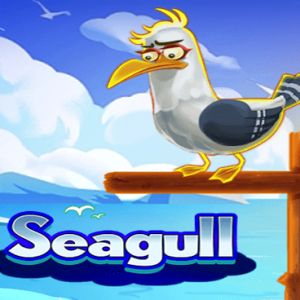 Seagull