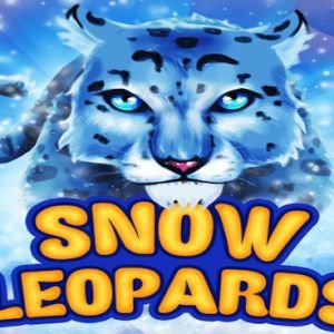 Snow Leopards