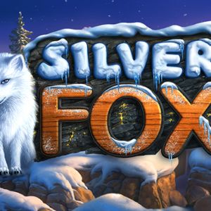 Silver Fox