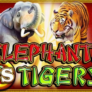 Elephants vs Tigers