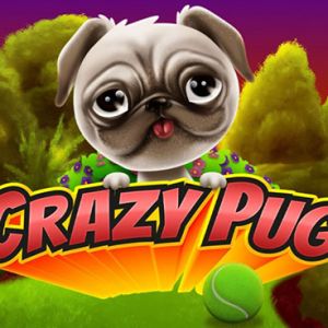 Crazy Pug